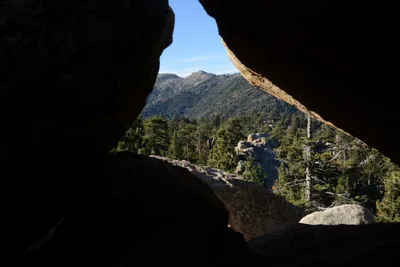 DSC_5172 (Large).JPG